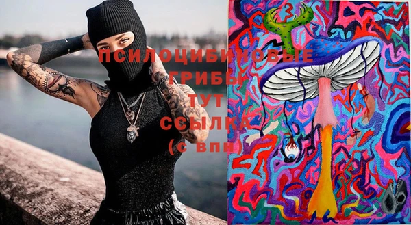 трава Дмитриев