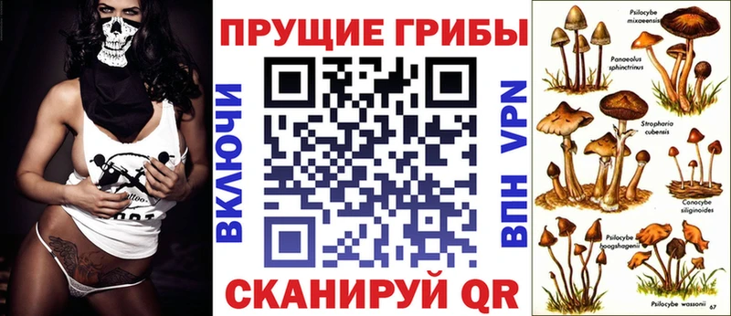 где купить наркотик  Домодедово  маркетплейс формула  Псилоцибиновые грибы Psilocybe 